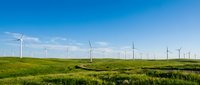 Wind turbines dotting a vast green prairie landscape under clear blue sky, representing renewable energy and sustainable power generation for environmental and industrial projects.