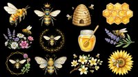 Honey bee collection with flowers, beehive, honeycomb, and jar of honey isolated on transparent background. Ready for t-shirt design, clipart, stickers, sublimation, and print-on-demand products.