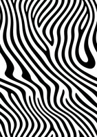 Abstract black and white zebra stripe pattern with wavy organic lines creating dynamic optical illusion effect. Seamless vector design for fashion and interior decor.