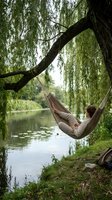 Man relaxing in hammock suspended from willow tree branch over calm river, enjoying peaceful outdoor leisure and nature retreat during summer day.