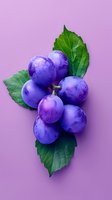 Fresh purple plums with green leaves on lilac background. Water drops on ripe juicy fruits create appetizing look. Minimal food photography style for packaging design.
