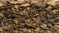 Dry cracked earth with scattered rocks and debris, showing arid soil texture and erosion patterns suitable for environmental, climate change, and drought-related projects.