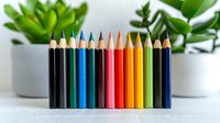 Colorful wooden pencils arranged in rainbow order against white background with green succulent plants. Creative education and art supplies composition.