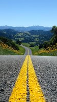 Winding mountain road with bright yellow dividing lines stretches through green hills and wildflower meadows toward distant blue mountain peaks under clear summer sky.