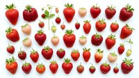 Fresh red and pink strawberries with green leaves and flowers isolated on white background, ready for design, packaging, and culinary projects.