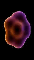 Abstract organic form with gradient color transition from orange to purple on black background, isolated for design and creative projects.