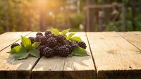 Fresh ripe mulberries with green leaves arranged on rustic wooden table in sunlight, suitable for food photography, culinary blogs, and healthy eating content.