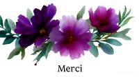 Vibrant purple cosmos flowers with green leaves arranged in elegant composition with French word Merci, suitable for greeting cards and social media designs.