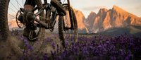 Mountain bike resting in purple lavender field during golden hour sunset with dramatic peaks in background. Outdoor adventure cycling concept.