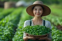 Young Asian female farmer in straw hat holding fresh microgreens harvest in woven basket, standing in organic garden with green plants background.