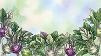 Young purple and green kohlrabi vegetables with stems and leaves arranged in a row on soft watercolor background, suitable for culinary, gardening, and food illustration projects.