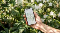Caucasian hand holding smartphone with Follow Us screen against lush green garden background, social media marketing concept for brands.