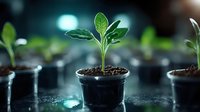 Young green seedling growing in small black pot with fresh soil, macro photography with bokeh effect and water drops in dark background.