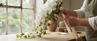 Florist arranging fresh greenery and white flowers in vase on wooden table near window for wedding or event decoration.