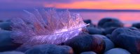Delicate white feather resting on smooth river rocks against dramatic purple and pink sunset sky, creating ethereal nature macro photography scene.