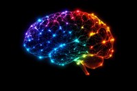 Glowing multicolored neural network in shape of human brain with connected nodes and pathways on black background shows artificial intelligence concept.