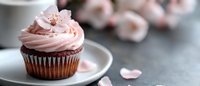 Chocolate cupcake with pink buttercream frosting and delicate cherry blossom flower on white plate. Spring dessert for bakery menu, wedding celebration.