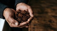 Star anise spices held in weathered male hands, showcasing organic dried pods for culinary, cooking, and food styling applications.