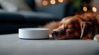 Sleeping brown dog next to smart home speaker device on table with bokeh lights in background, cozy evening atmosphere for home automation concept.
