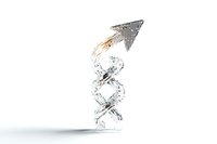DNA double helix structure transforming into upward arrow shape, symbolizing genetic progress and biotechnology advancement on white background.