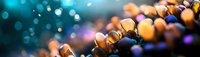 Colorful bokeh lights creating dreamy abstract background with warm golden and cool blue tones. Soft focus illumination for festive designs and celebrations.