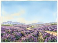 Lavender field landscape with rolling hills, winding path, and distant mountains under soft blue sky, suitable for travel, agriculture, and nature-themed designs.