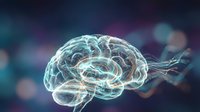 Digital brain with glowing neural networks and synaptic connections on dark background for medical, science and technology concepts.