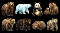 Collection of eight bear species isolated on transparent background, including brown, polar, panda, and grizzly bears in various poses. Ready for clipart, t-shirt design, print-on-demand products, stickers, and sublimation projects.