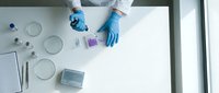 Young female scientist or laboratory technician wearing blue protective gloves conducting research with test samples and petri dishes on white workbench for medical or pharmaceutical testing.