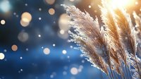 Dreamy winter scene with frosted pampas grass plumes against blurred bokeh lights and dark blue background, creating magical seasonal atmosphere.