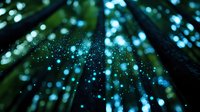 Magical forest with glowing particles and light rays streaming through tall trees creating mystical atmosphere for fantasy and nature designs.