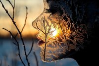 Delicate frost patterns on window glass with golden sunset light shining through, creating a magical winter atmosphere at dusk.