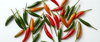 Fresh colorful chili peppers scattered on white background. Hot spicy vegetables for cooking, seasoning and culinary ingredients isolated for design use.