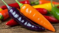 Colorful hot chili peppers in vibrant red, orange, purple and green varieties arranged on rustic wooden surface for cooking and spice preparation.