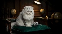 Fluffy gray and white long-haired cat sitting on green velvet cushion in vintage study room with globes, books, and warm lighting.