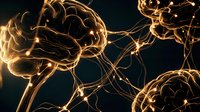 Glowing neural network connections with golden light effects showing brain synapses and electrical impulses in dark background for medical and science concepts.
