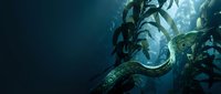 Underwater kelp forest with sunlight filtering through dark ocean depths creating mystical marine environment for nature and diving themes.