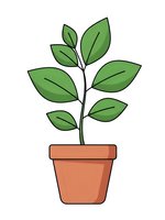 Green plant with leaves growing in terracotta pot isolated on white background for gardening and nature design projects.