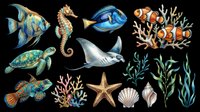 Colorful marine life collection featuring tropical fish, sea turtle, seahorse, stingray, starfish, shells, and seaweed isolated on transparent background. Ready for t-shirt designs, clipart, stickers, and print-on-demand products.