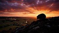 Dramatic sunset landscape with lone tree silhouette on rocky hillside overlooking rural valley with winding river and scattered buildings under fiery sky.