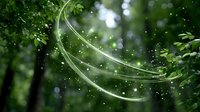 Magical green forest with glowing light trails and sparkling particles creating enchanting atmosphere for fantasy and nature themes.