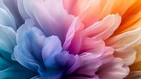 Abstract colorful flower petals in soft gradient hues from blue to orange creating dreamy flowing organic shapes for modern design backgrounds and artistic projects.