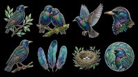 Hummingbirds and feathers isolated on transparent background, ready for t-shirt design, clipart, stickers, sublimation and print-on-demand products.