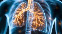 Glowing human lungs and bronchial tree visualization in blue and orange colors showing detailed respiratory system anatomy with illuminated airways and alveoli structure.