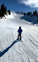 Skier in blue jacket descending pristine snow-covered slope with pine trees and mountains under clear blue sky. Perfect winter sports scene.