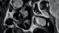 Abstract porous bone structure with organic holes and cavities in monochrome, showcasing natural skeletal architecture for medical and scientific applications.