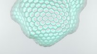 Translucent mint green hexagonal mesh structure with curved organic form on white background isolated for modern design applications.