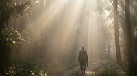 Lone hiker walking through misty forest path with dramatic sunbeams filtering through trees creating atmospheric morning light and peaceful woodland adventure scene.