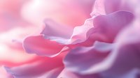 Soft flowing abstract waves in pink and purple create dreamy ethereal background with gentle gradients and smooth curves. Suitable for wellness and spa designs.