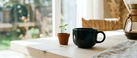 Morning coffee setup with dark green mug and small plant on wooden table in bright kitchen interior for cozy home lifestyle and relaxation moments.